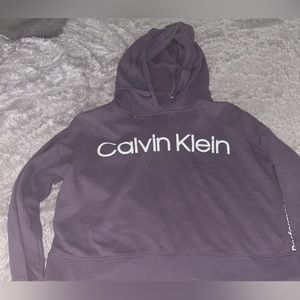 Calvin Klein Cropped Hoodie